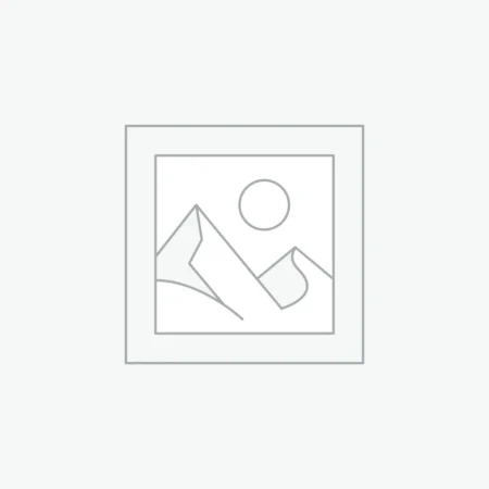 XLN Audio